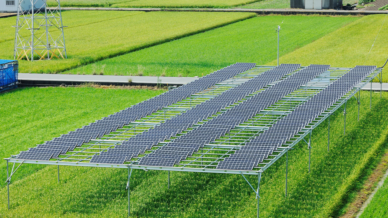 営農型太陽光ソーラシェアリング